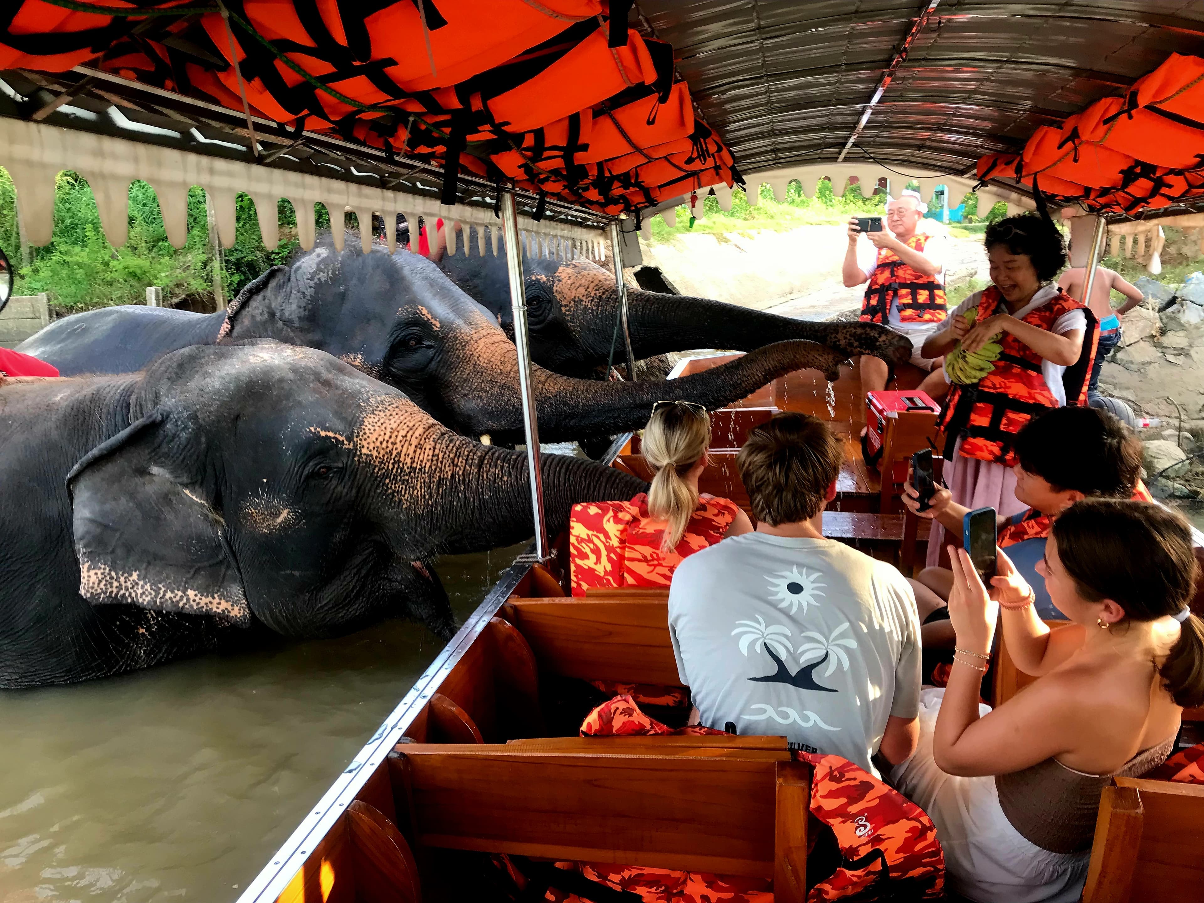 ช้างยืนในน้ำ — บรรยากาศอบอุ่นสำหรับครอบครัว