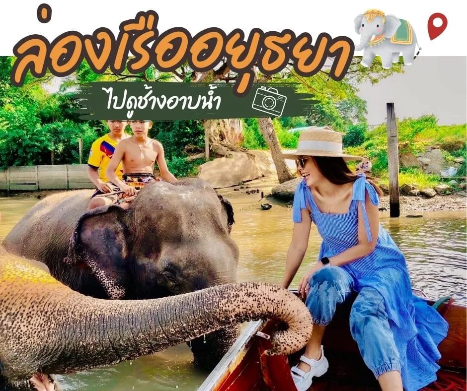 ดูช้างอาบน้ำ