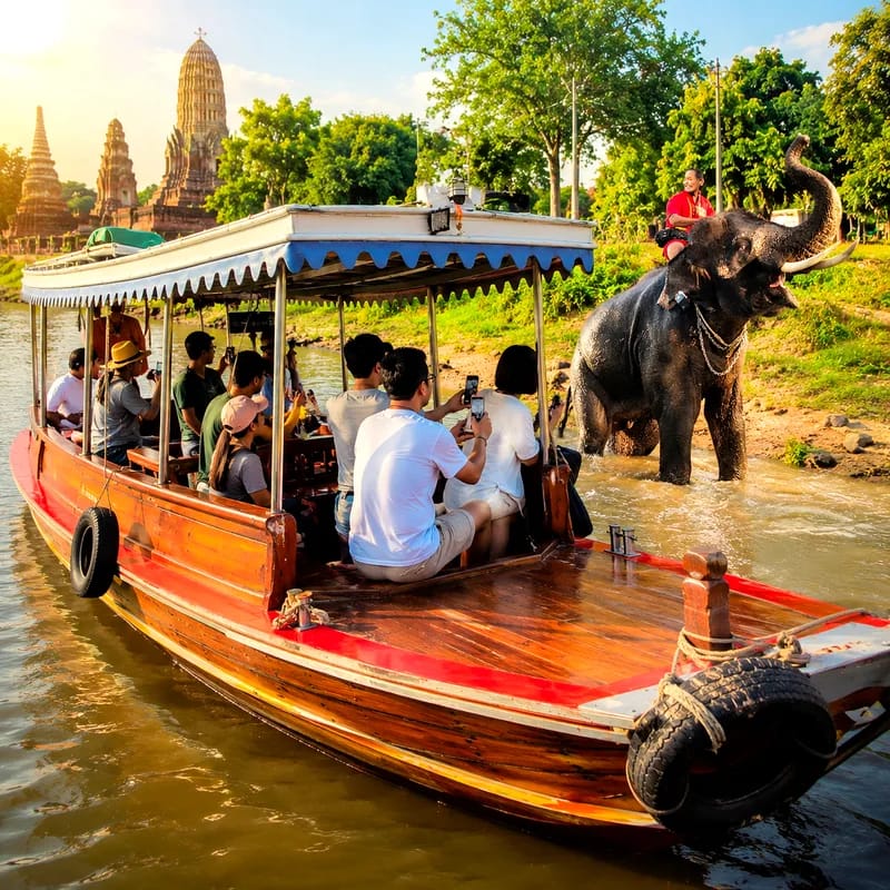 ล่องเรือรอบเกาะพร้อมชมช้างอาบน้ำ อยุธยา (เรือ M)