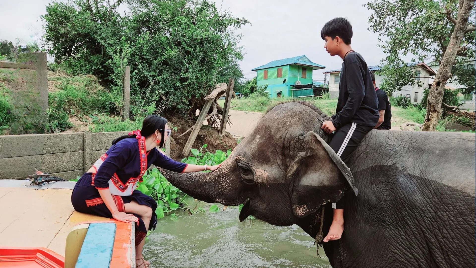 ล่องเรืออยุธยาพร้อมชมช้างอาบน้ำ