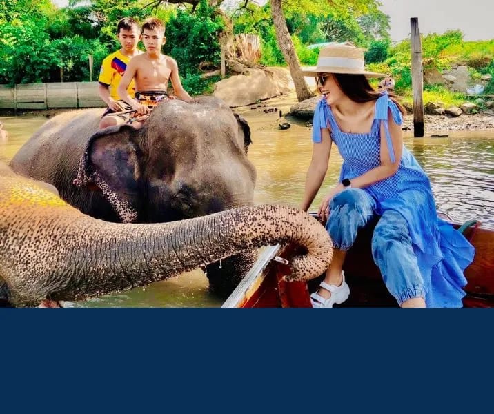 ล่องเรืออยุธยาพร้อมชมช้างอาบน้ำ